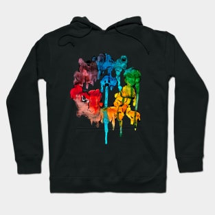 Colour Wheel Hoodie